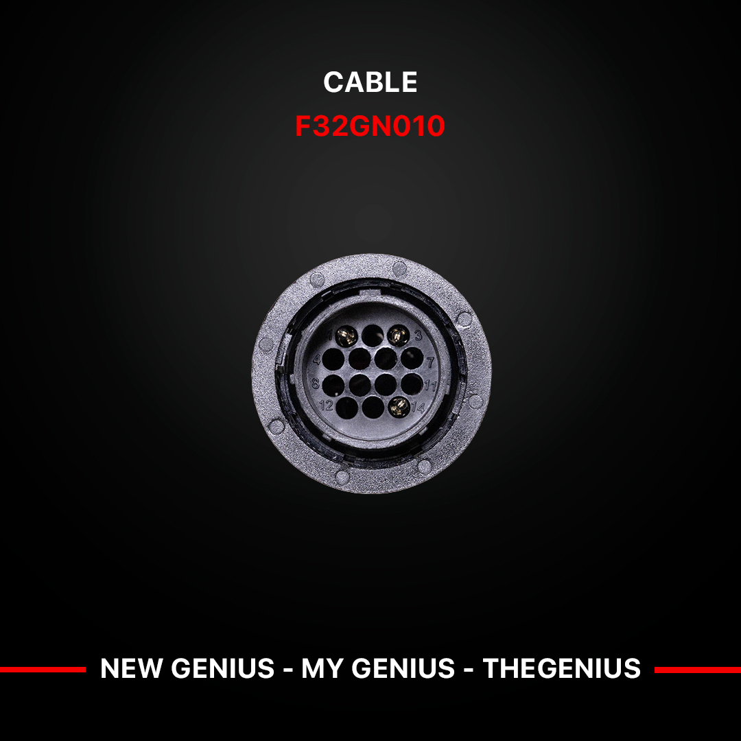 F32GN010_3.jpg