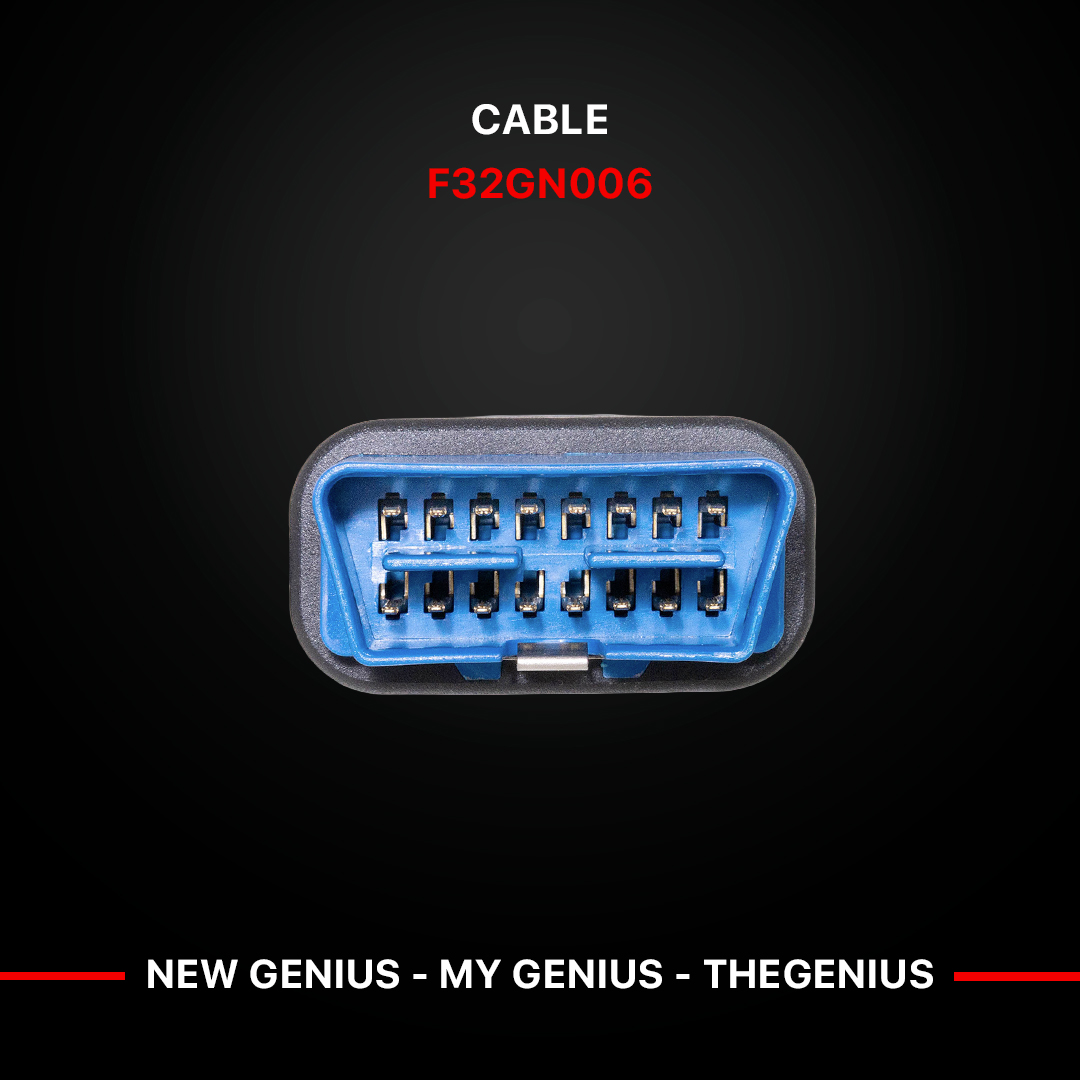 F32GN006_3.jpg