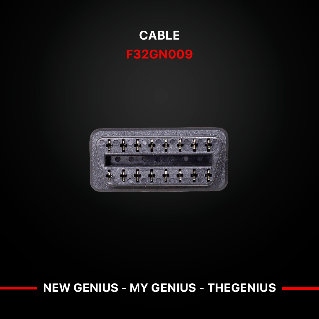 F32GN009_4.jpg